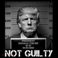 Trump Mug Shot, Trump Not Guilty Pro Trump Supporter Premium T-Shirt