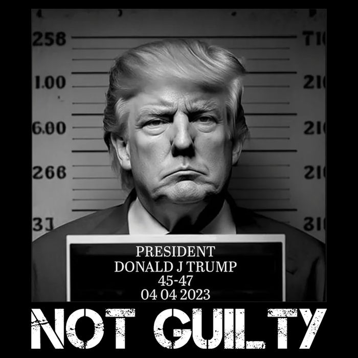 Trump Mug Shot, Trump Not Guilty Pro Trump Supporter Womens Tank Top