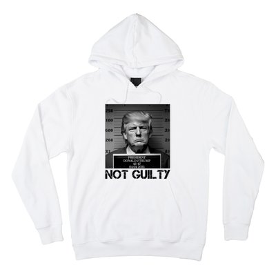 Trump Mug Shot, Trump Not Guilty Pro Trump Supporter Hoodie