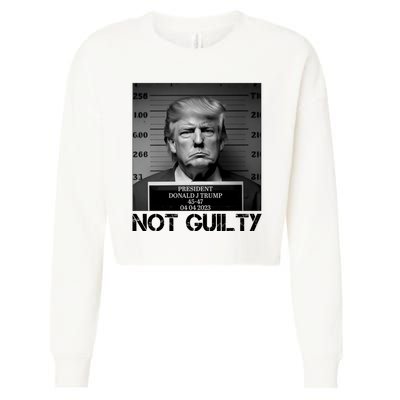 Trump Mug Shot, Trump Not Guilty Pro Trump Supporter Cropped Pullover Crew