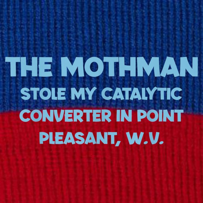 The Mothman Stole My Catalytic Converter In Point Pom Pom 12in Knit Beanie