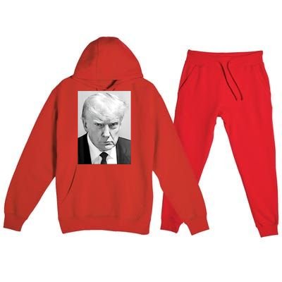 Trump Mug Shot Donald Trump Mug Shot Premium Hooded Sweatsuit Set