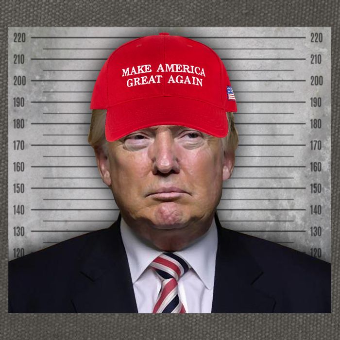 Trump Mugshot MAGA Cotton Canvas Backpack
