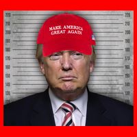 Trump Mugshot MAGA 25L Jumbo Tote
