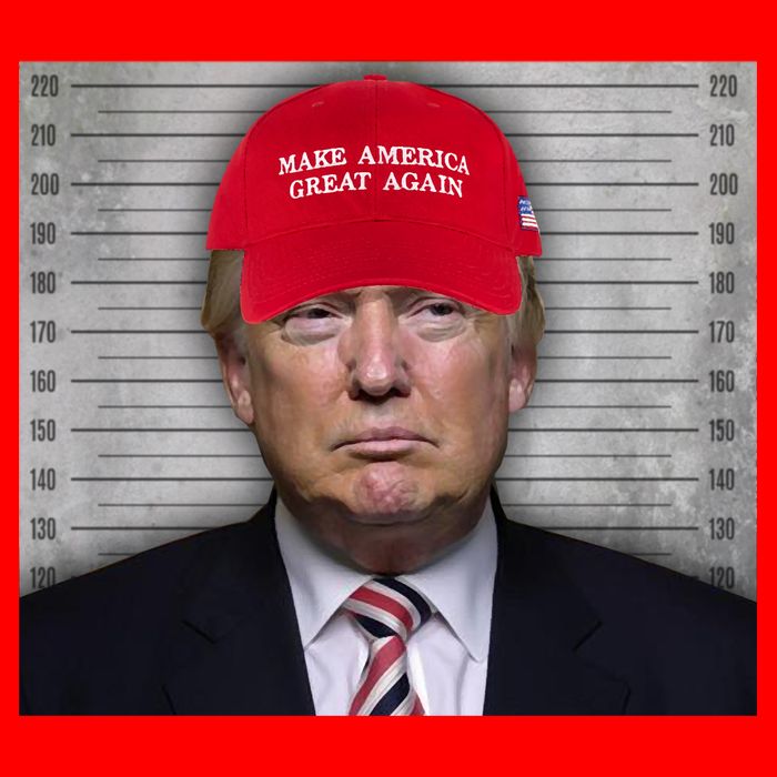 Trump Mugshot MAGA 25L Jumbo Tote