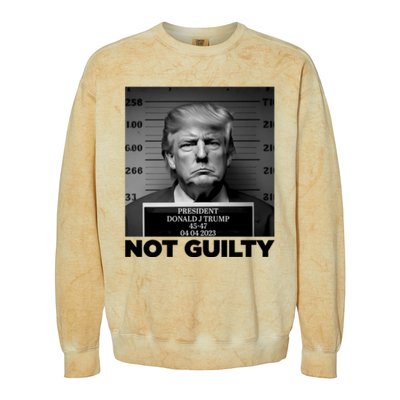 Trump Mug Shot, Trump Not Guilty Pro Trump Supporter Colorblast Crewneck Sweatshirt