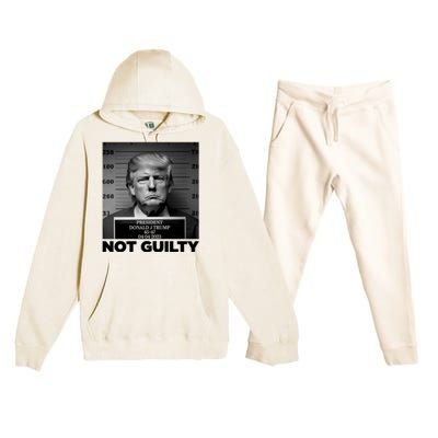 Trump Mug Shot, Trump Not Guilty Pro Trump Supporter Premium Hooded Sweatsuit Set