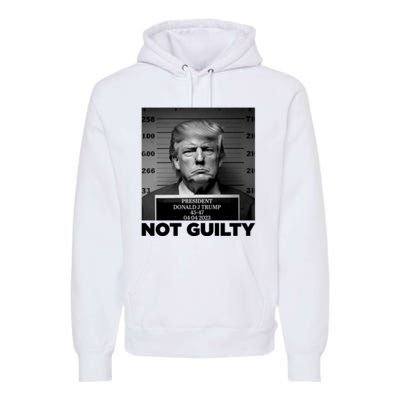 Trump Mug Shot, Trump Not Guilty Pro Trump Supporter Premium Hoodie