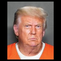 Trump Mugshot Toddler T-Shirt