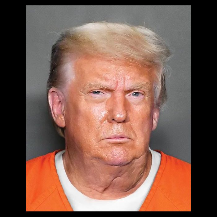 Trump Mugshot Toddler T-Shirt