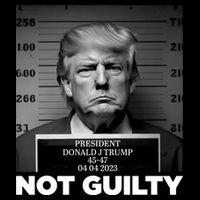 Trump Mug Shot, Trump Not Guilty Pro Trump Supporter Zip Tote Bag