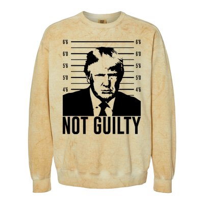 Trump Mug Shot, Trump Not Guilty Pro Trump Supporter Colorblast Crewneck Sweatshirt