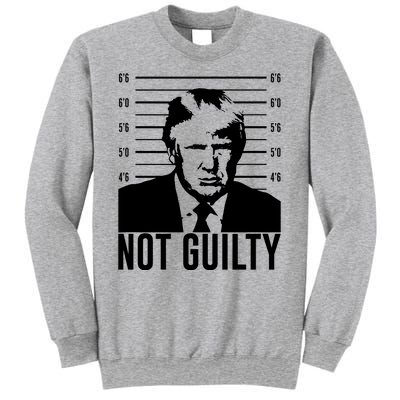 Trump Mug Shot, Trump Not Guilty Pro Trump Supporter Sweatshirt