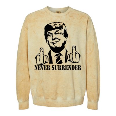 Trump Mug Shot Trump MugShot Never Surrender Colorblast Crewneck Sweatshirt