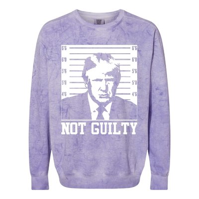 Trump Mug Shot, Trump Not Guilty Pro Trump Supporter Colorblast Crewneck Sweatshirt