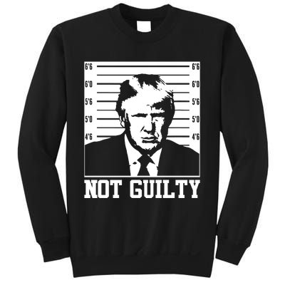 Trump Mug Shot, Trump Not Guilty Pro Trump Supporter Sweatshirt