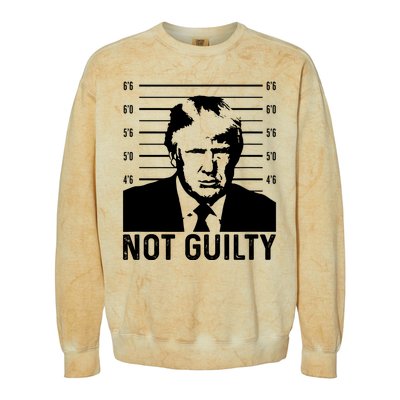 Trump Mug Shot, Trump Not Guilty Pro Trump Supporter Colorblast Crewneck Sweatshirt