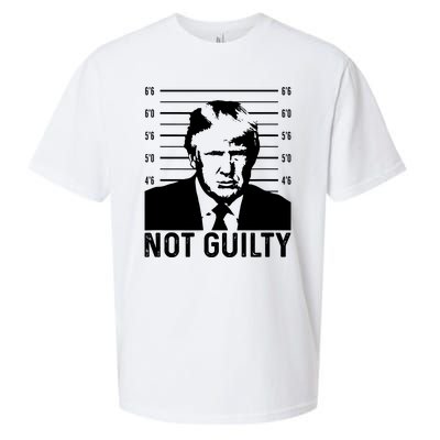 Trump Mug Shot, Trump Not Guilty Pro Trump Supporter Sueded Cloud Jersey T-Shirt