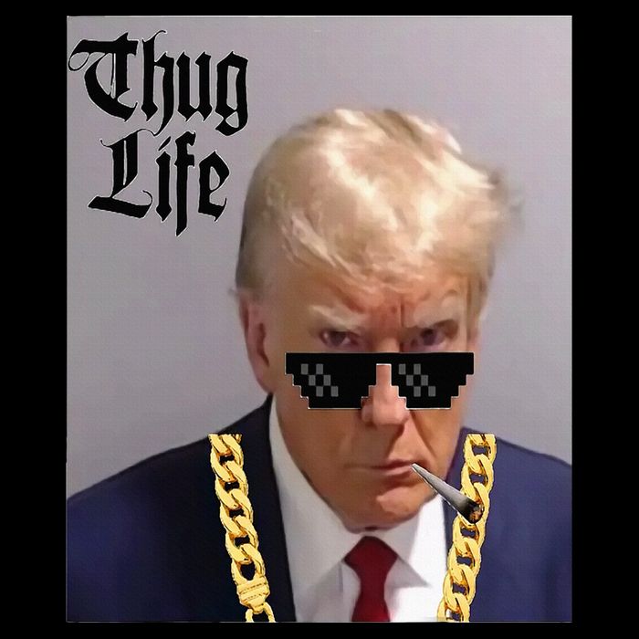 Trump Mug Shot Donald Trump Mug Shot Thug Life 16 in Basic Backpack