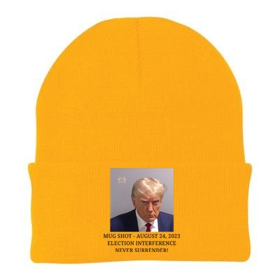 Trump Mug Shot Donald J Trump Mugshot Knit Cap Winter Beanie