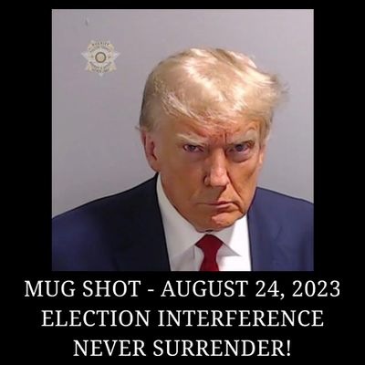 Trump Mug Shot Donald J Trump Mugshot T-Shirt