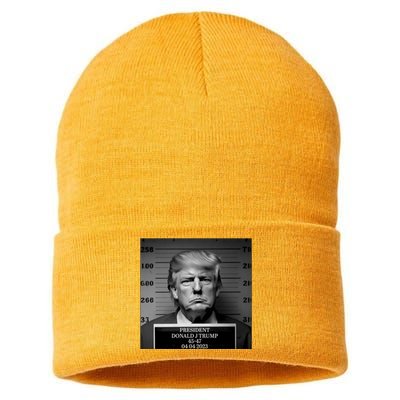 Trump Mug Shot Trump MugShot Sustainable Knit Beanie