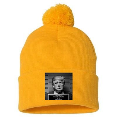 Trump Mug Shot Trump MugShot Pom Pom 12in Knit Beanie