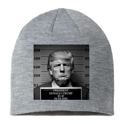 Trump Mug Shot Trump MugShot Sustainable Beanie