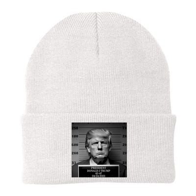 Trump Mug Shot Trump MugShot Knit Cap Winter Beanie