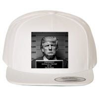 Trump Mug Shot Trump MugShot Wool Snapback Cap