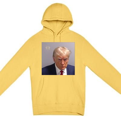 Trump Mug Shot Trump Jail Trump Arrested Premium Pullover Hoodie