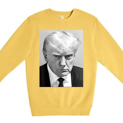 Trump Mug Shot Donald Trump Mug Shot Gift Premium Crewneck Sweatshirt