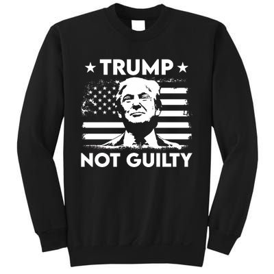 Trump Mug Shot, Trump Not Guilty Pro Trump Supporter Sweatshirt