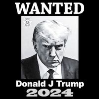 Trump Mugshot City Backpack