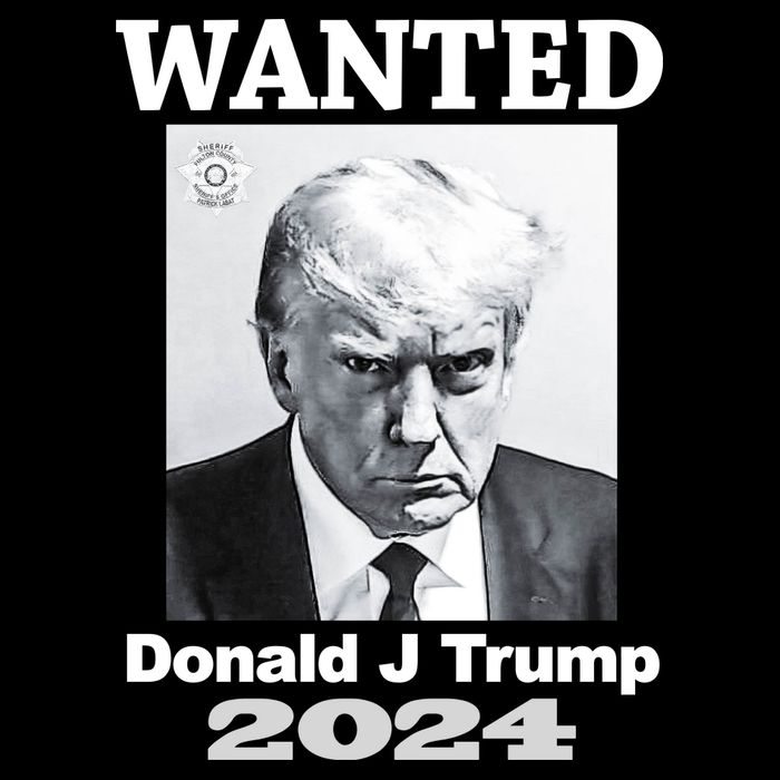 Trump Mugshot City Backpack