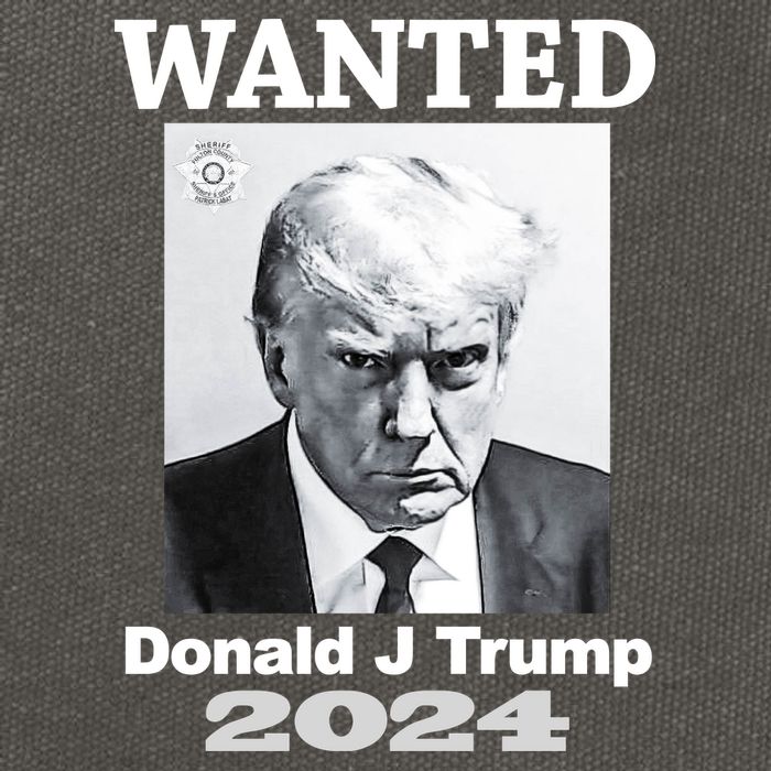 Trump Mugshot Cotton Canvas Backpack