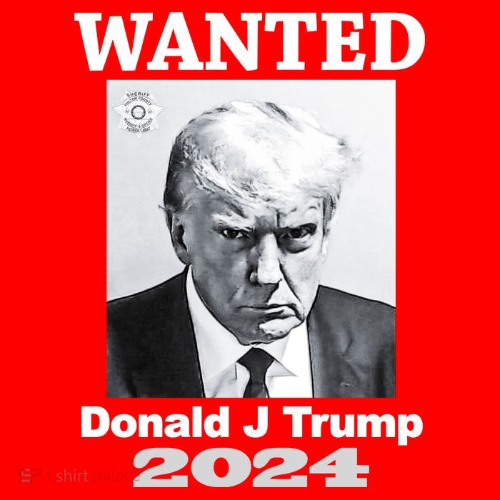 Trump Mugshot Long Sleeve Shirt