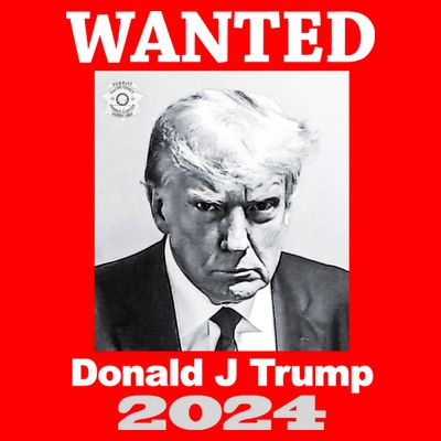 Trump Mugshot T-Shirt