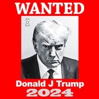 Trump Mugshot Toddler T-Shirt