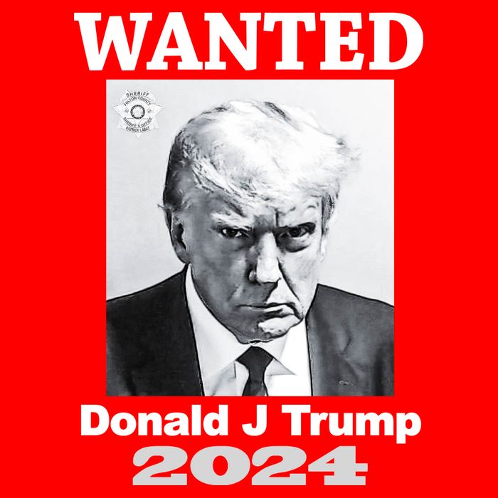Trump Mugshot Toddler T-Shirt