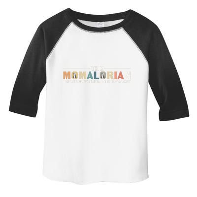 The Momalorian The Coolest Mom Mothers Day Plus Size Shirts For Mom Son Daughter Toddler Fine Jersey T-Shirt