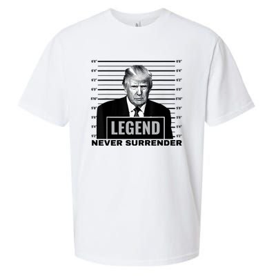 Trump never surrender 2024 Mugshot Sueded Cloud Jersey T-Shirt