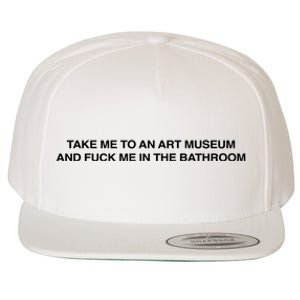 Take Me To An Art Museum And Fuck Me In The Bathroom Wool Snapback Cap