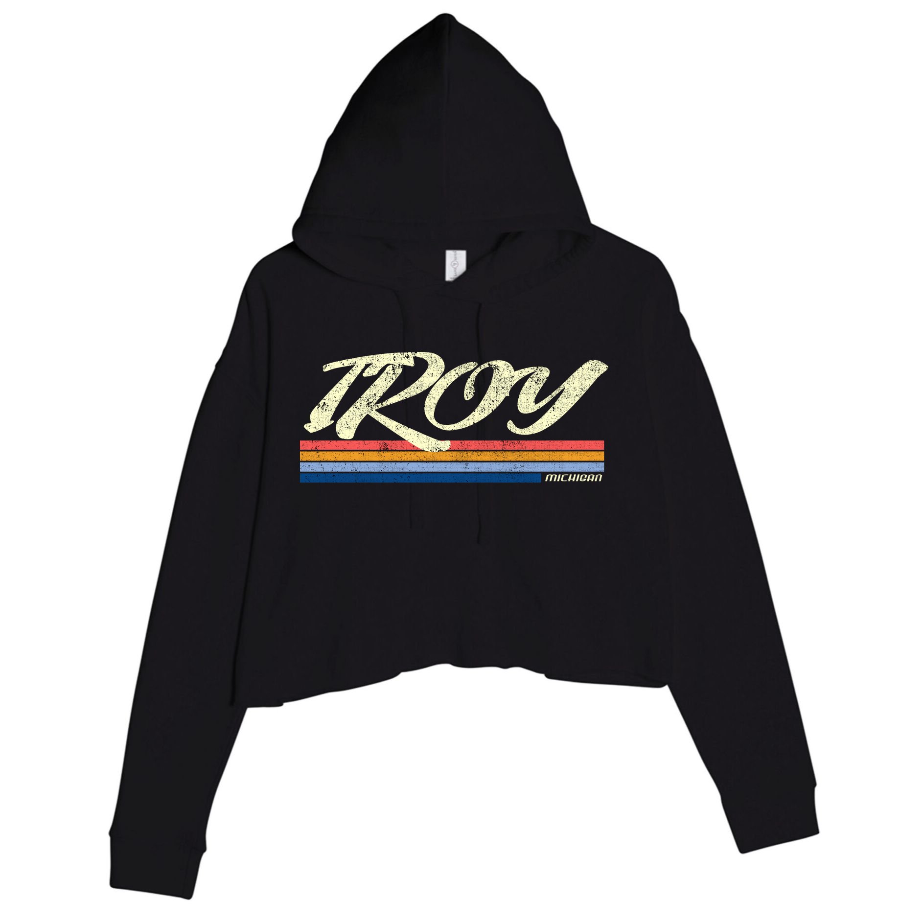 Troy Michigan Vintage Crop Fleece Hoodie