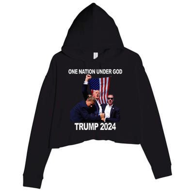 Trump Mugshot Vote For The Felon Trump 2024 Trump Convicted Crop Fleece Hoodie