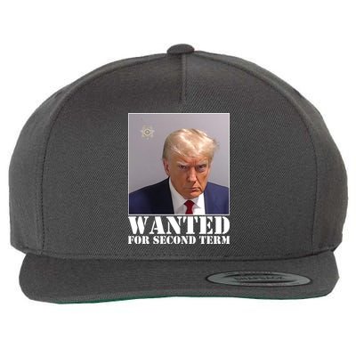 Trump Mugshot Wanted For Second Term Wool Snapback Cap