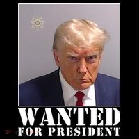 Trump Mugshot Wanted For President Tall T-Shirt