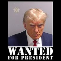 Trump Mugshot Wanted For President Flatbill Hat