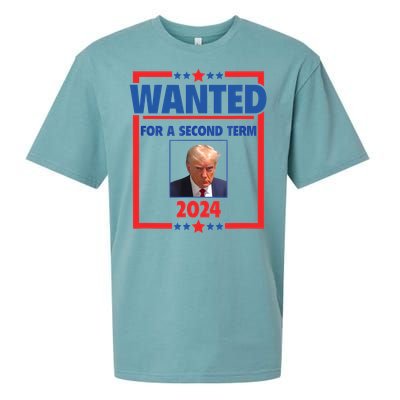 Trumps Mugshot Wanted For A Second Term 2024 President Sueded Cloud Jersey T-Shirt