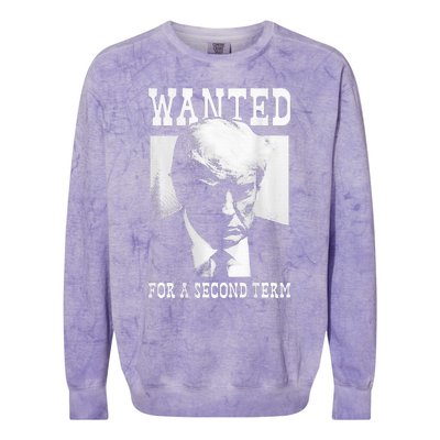 Trump Mugshot Wanted For Second Term 2024 Colorblast Crewneck Sweatshirt